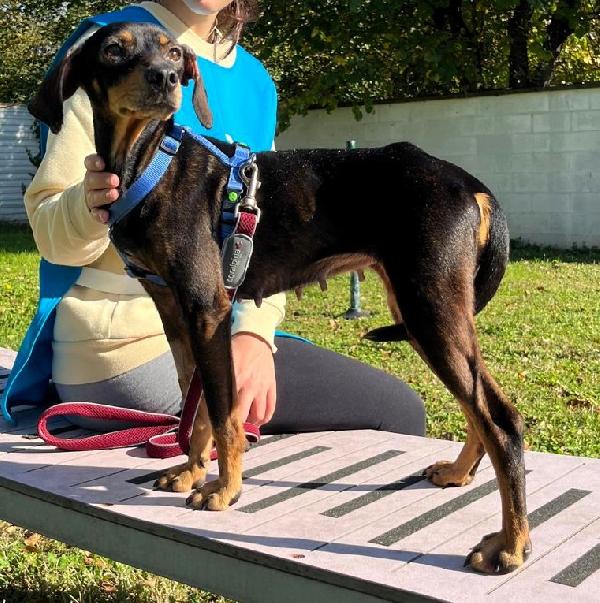 LUNA CAGNOLINA DOLCISSIMA Foto 5